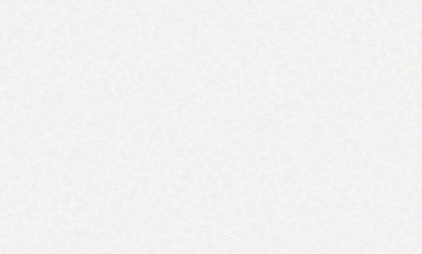 Rasch Bright Whisper W 189126