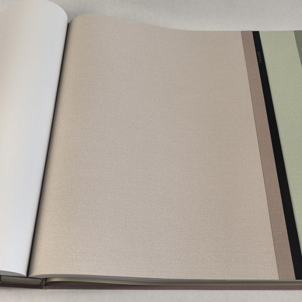 Alessandro Allori Bruni RBN 1003-8