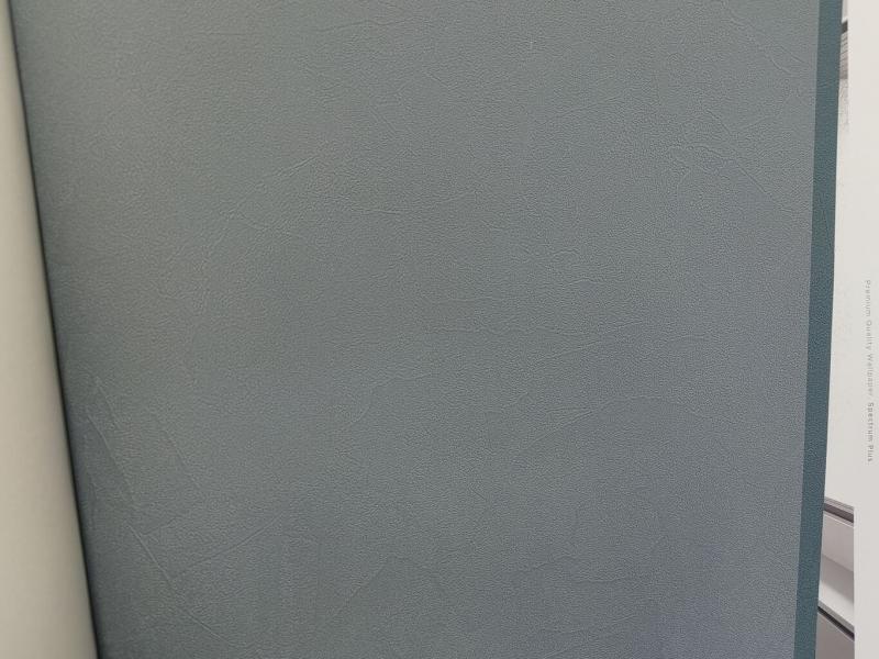 Andrea Rossi Spectrum Plus 54351-20