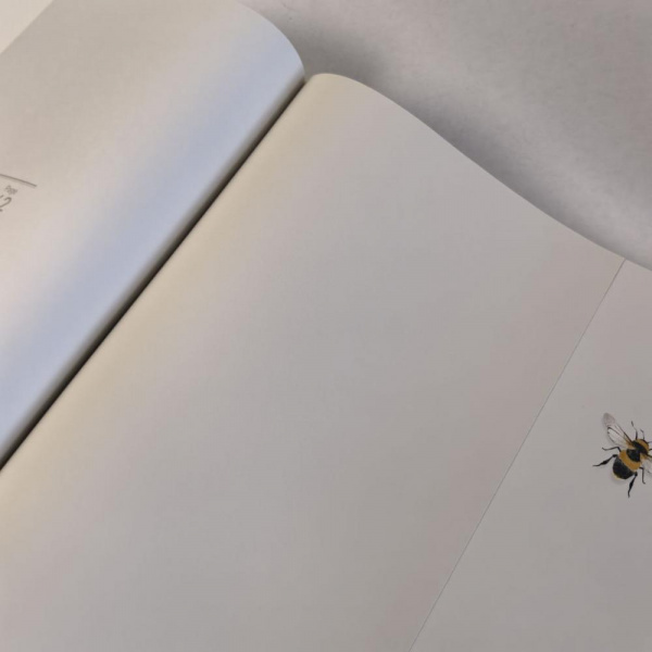 Andrea Rossi Cavolli 54418-3