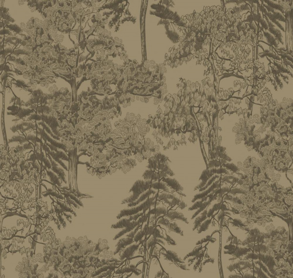 Milassa Ambient AM5 005/1 Milassa Ambient AM5 005/1