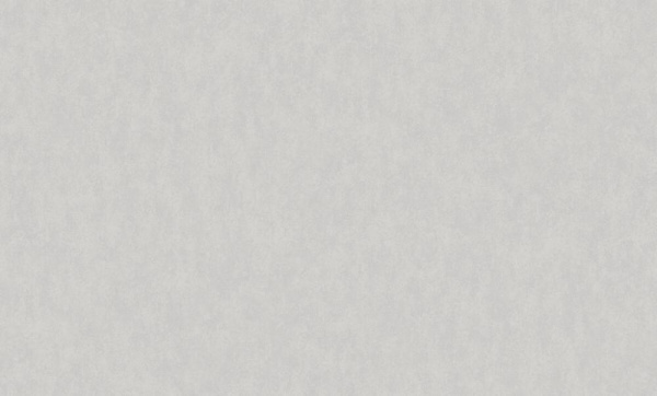 Rasch Bright Whisper W 190023